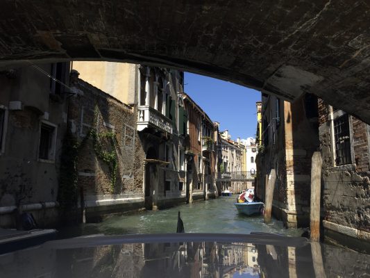 Animation Photo Polaroid Mostra De Venise Lensman