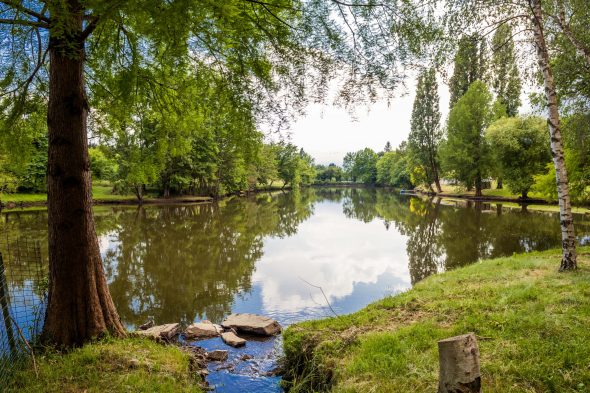Reportage Photo ans Pepiniere Du Val D Erdre Lensman