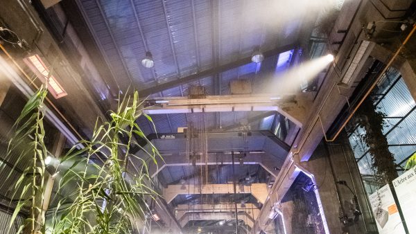 Reportage Photo Fete de Noel Machines De L Ile Nantes Celencia Lensman