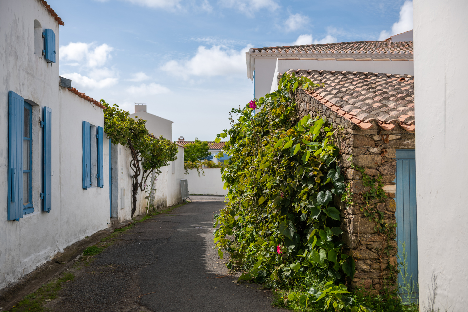 reportage photo ile yeu Cravate et Sandalettes