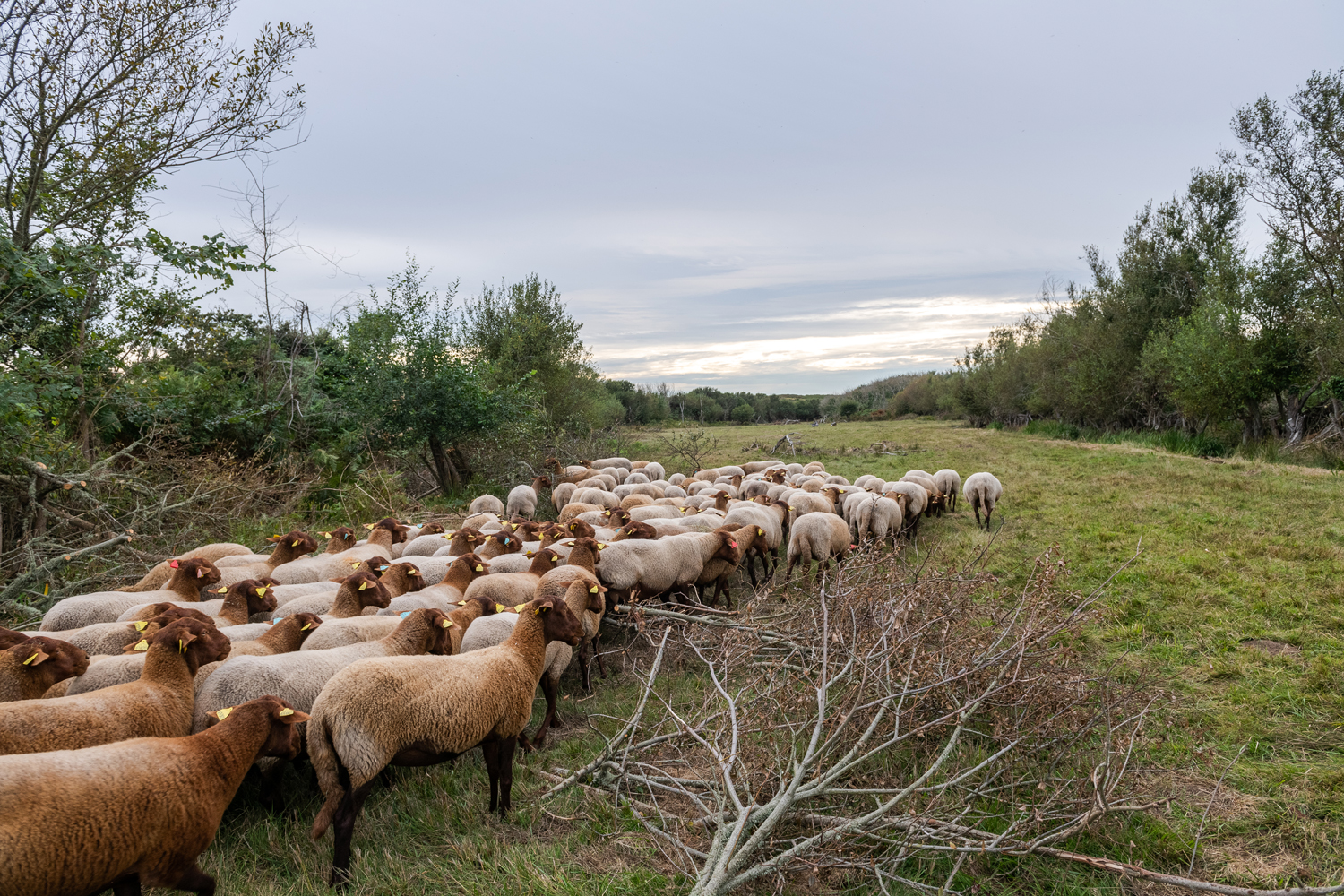 reportage photo ile yeu Cravate et Sandalettes