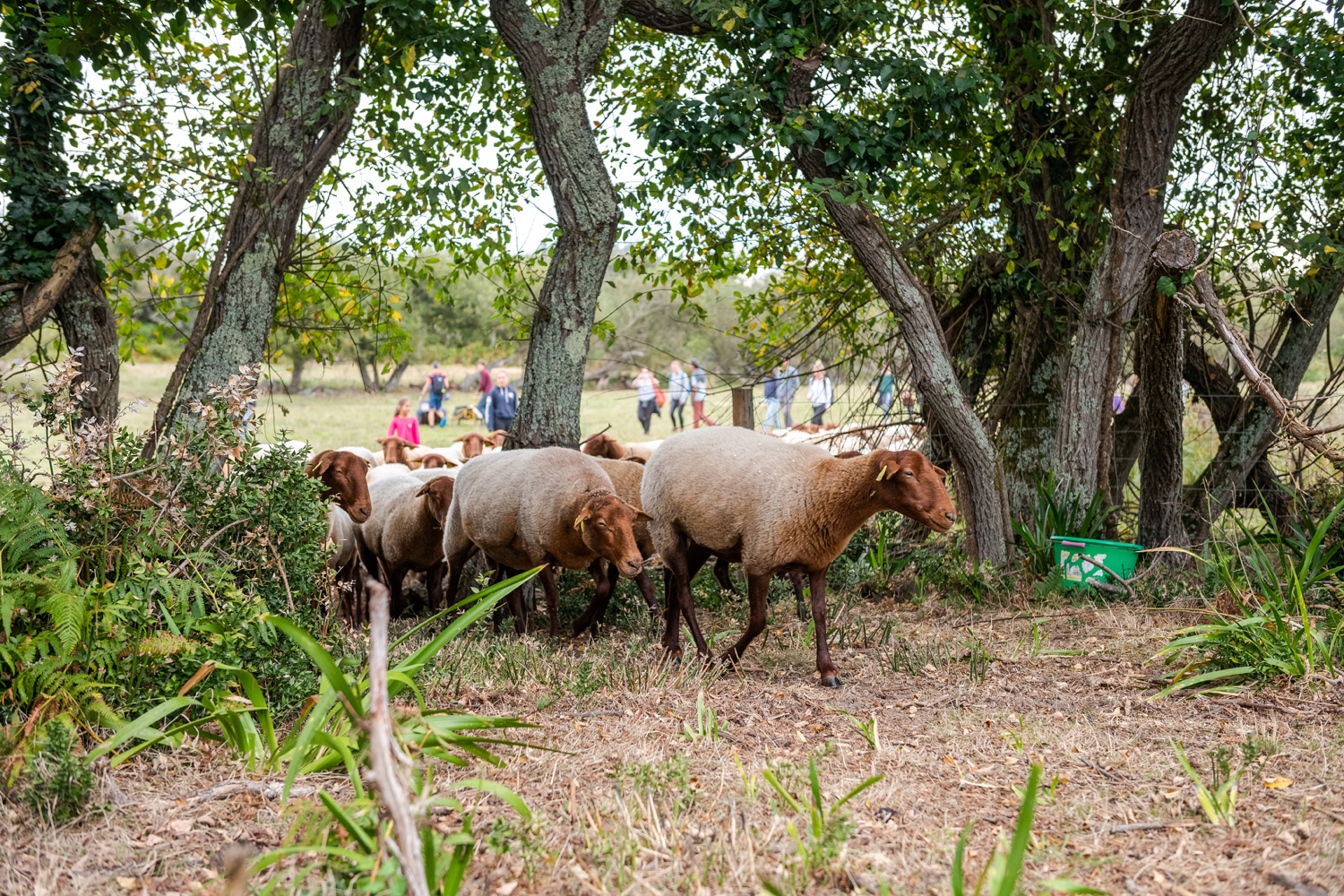 reportage photo ile yeu Cravate et Sandalettes