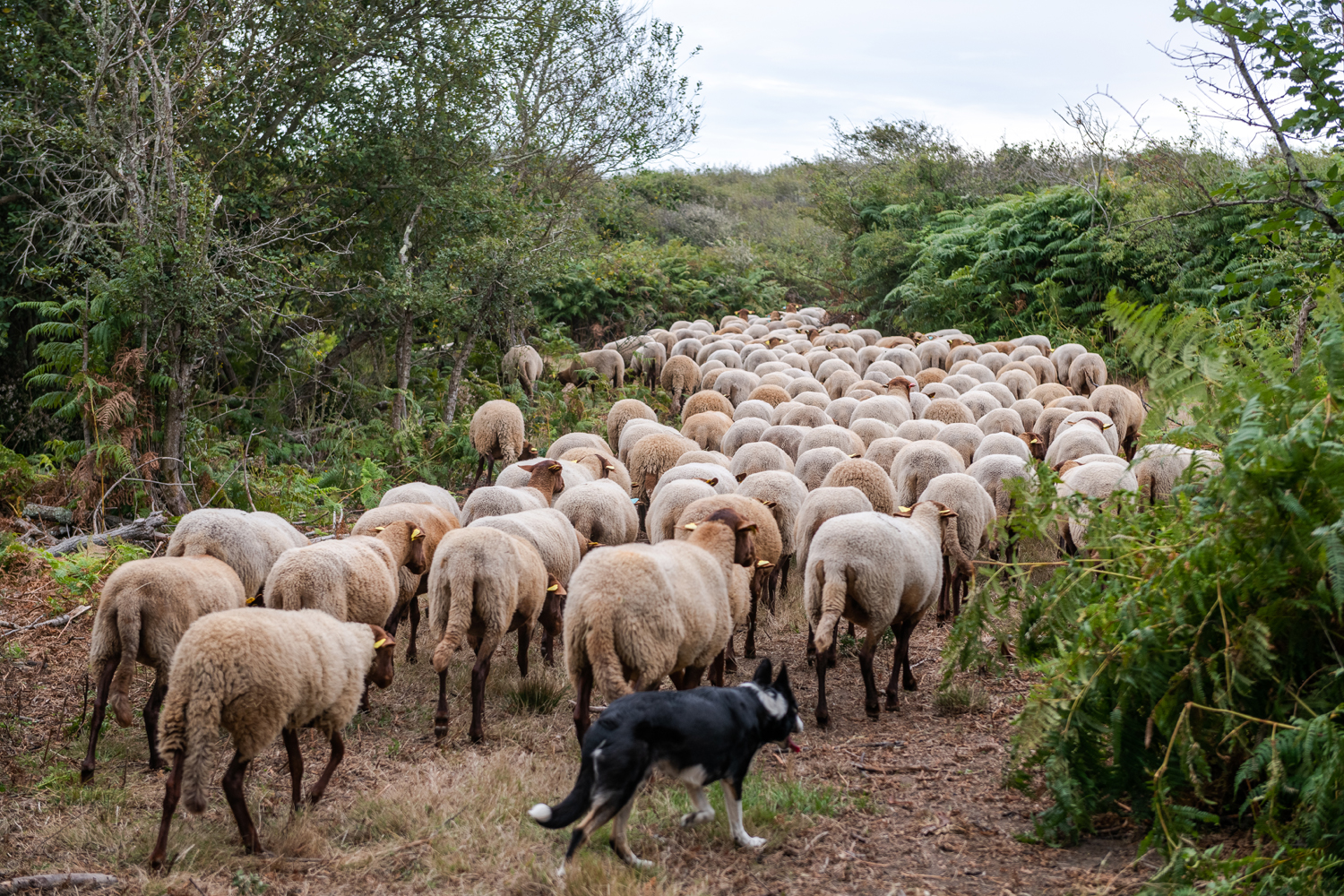 reportage photo ile yeu Cravate et Sandalettes