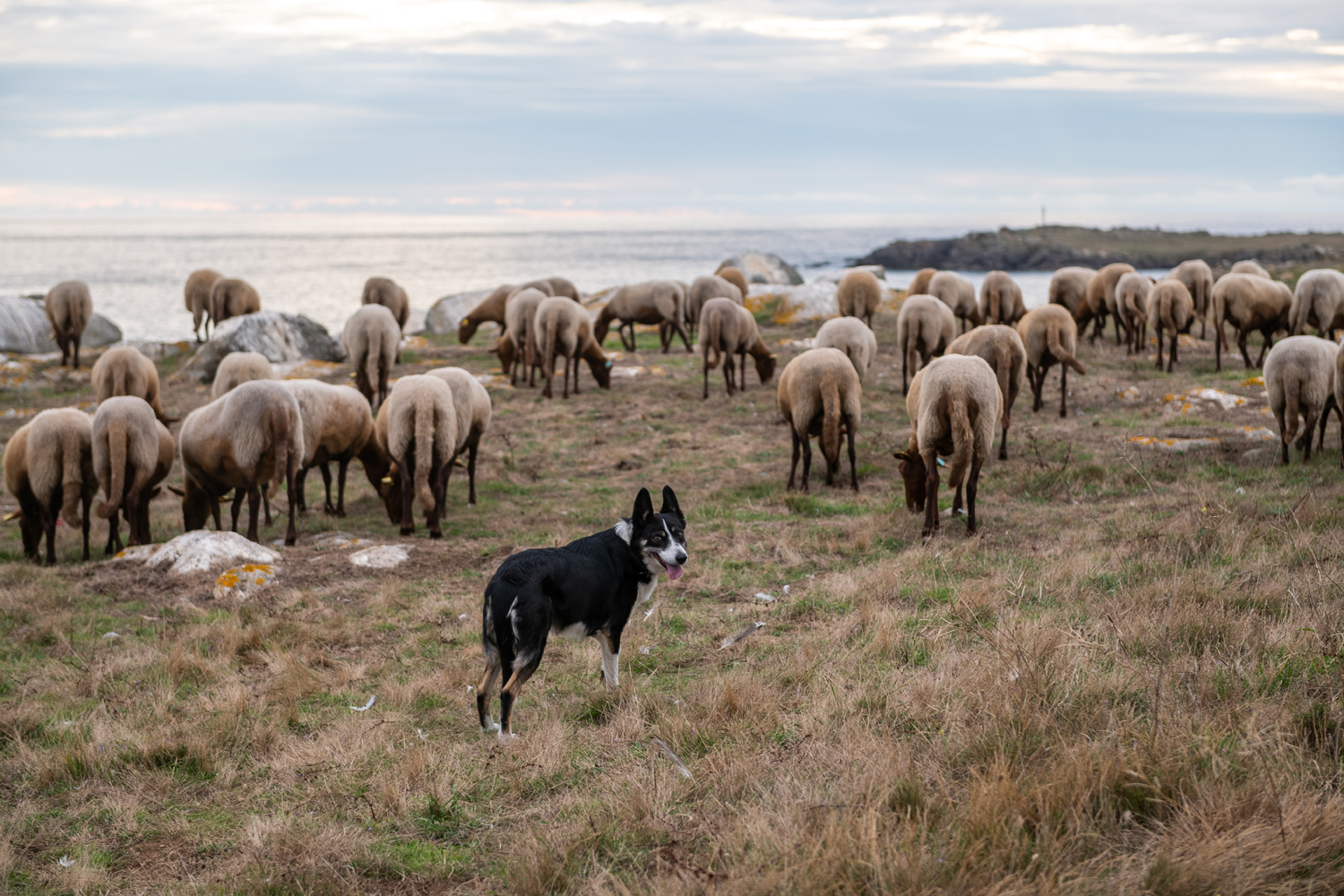 reportage photo ile yeu Cravate et Sandalettes