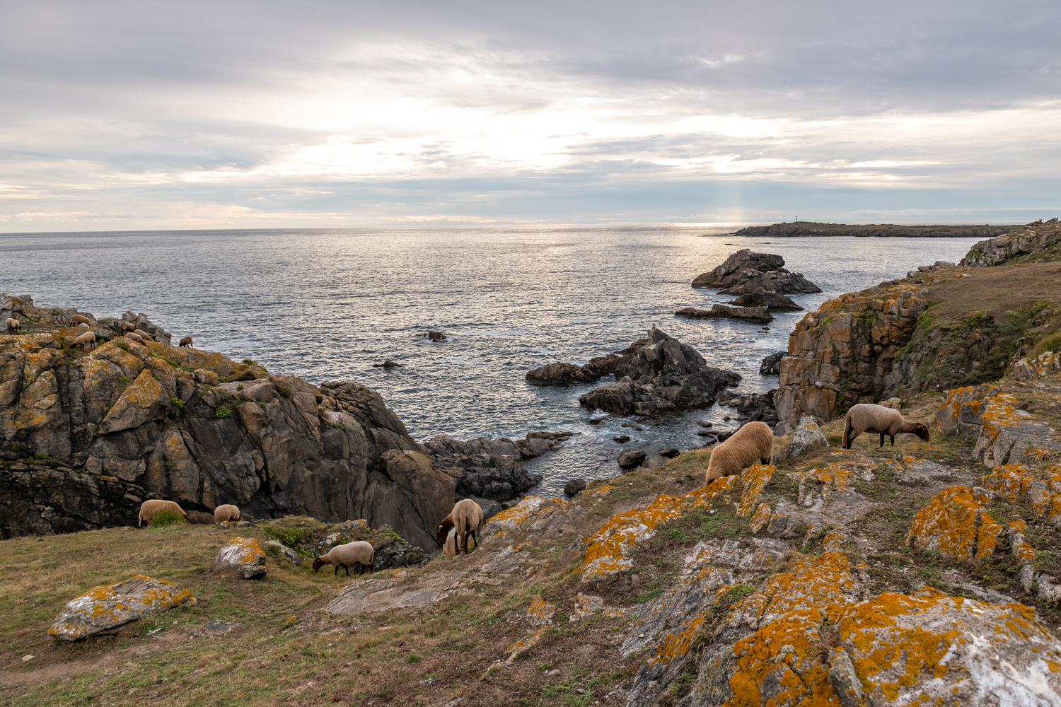 reportage photo ile yeu Cravate et Sandalettes