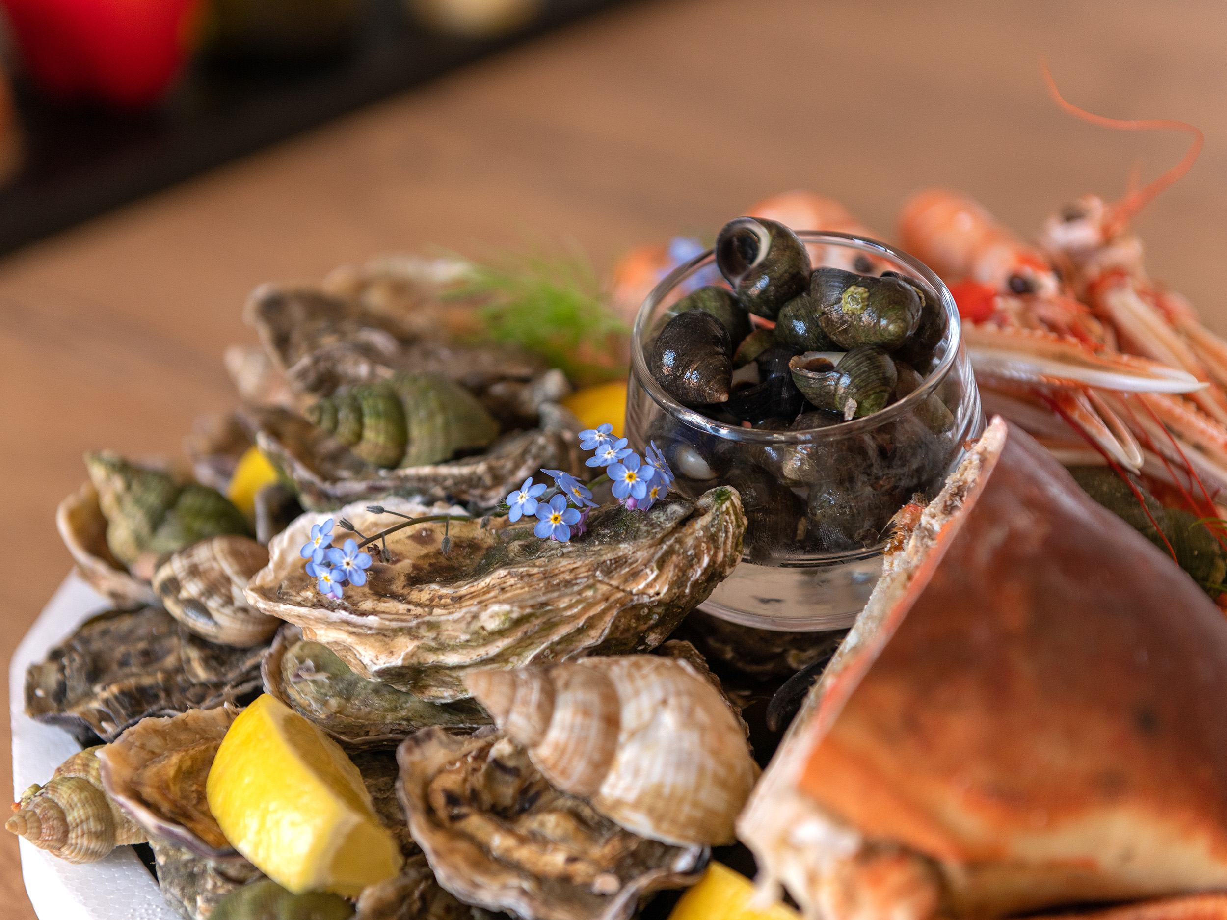bigorneaux huîtres Poisson food nature morte cuisine pêcheurs ÔPoisson
