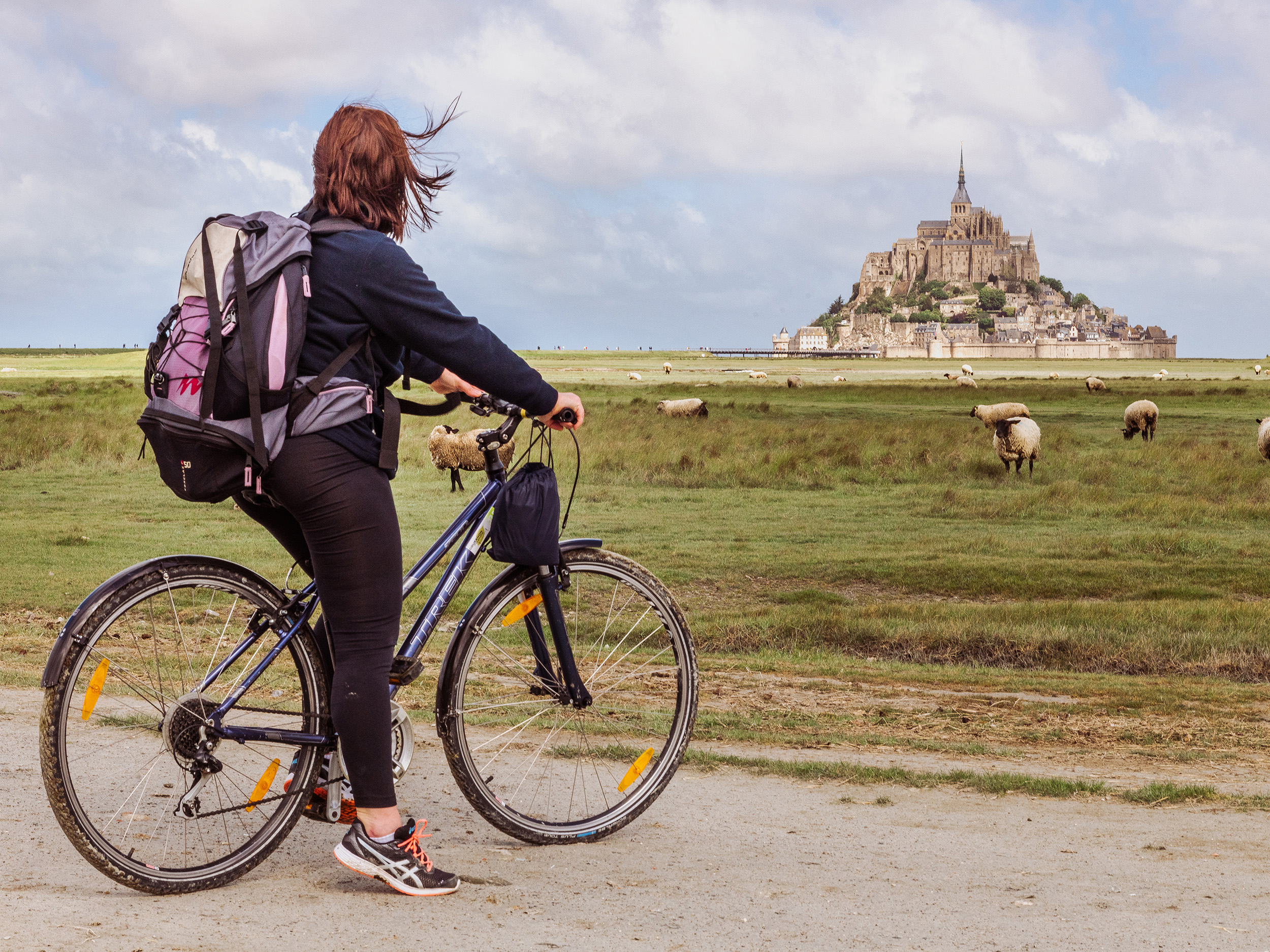 vélo paysage moutons reportage photo Cravate et Sandalettes Mont saint Michel