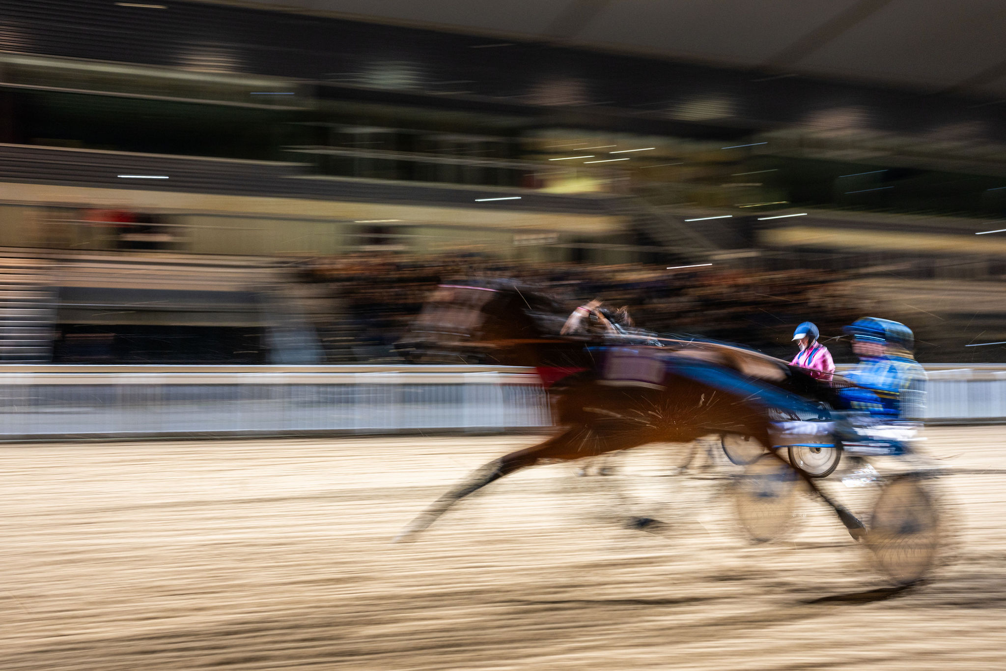 Photo soirée hippodrome cote d'amour