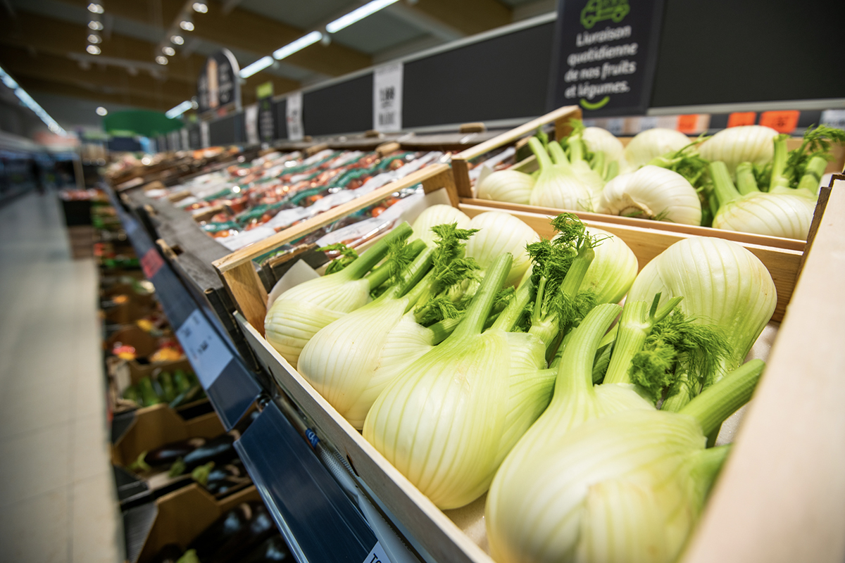 Reportage Photo Inauguration Lidl Bretagne Lensman