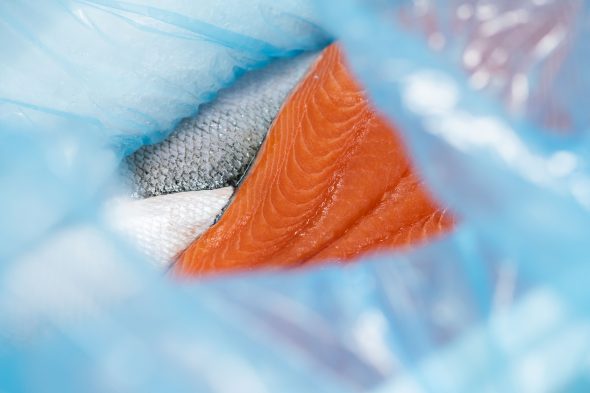 Reportage Photo O Poisson Les Sables D Olonne Lensman