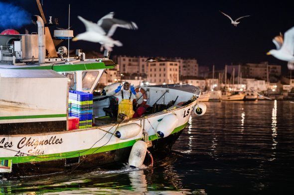 Reportage Photo O Poisson Les Sables D Olonne Lensman