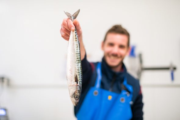 Reportage Photo O Poisson Les Sables D Olonne Lensman