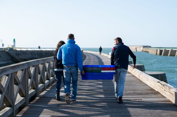 Reportage Photo O Poisson Les Sables D Olonne Lensman