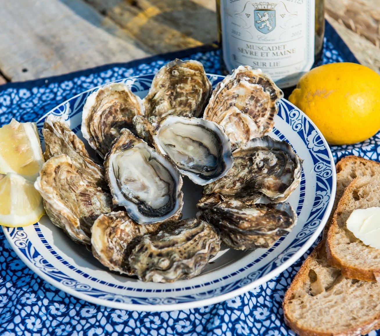 lensman packshot aliment