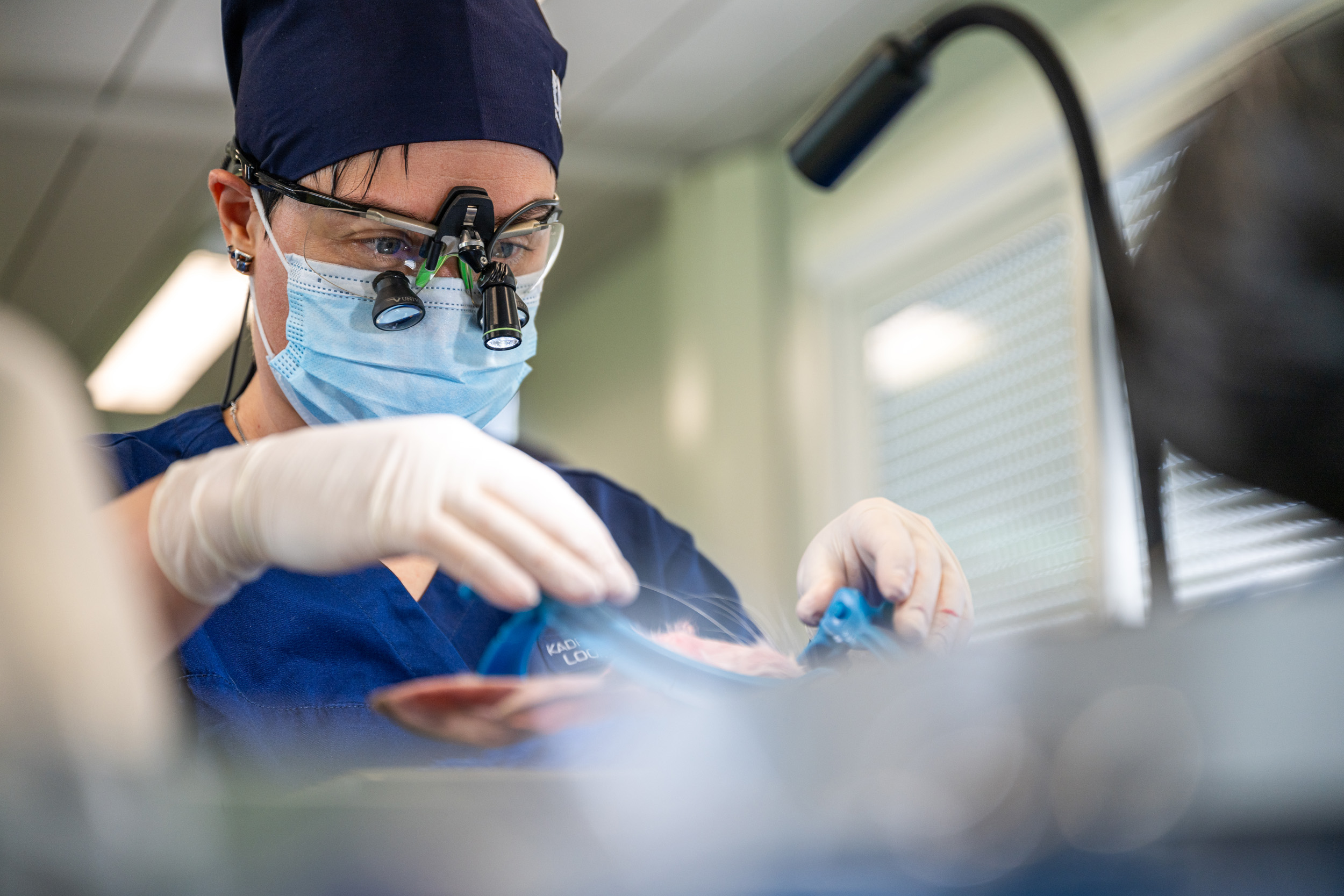 LENSMAN STUDIO Michael MENIANE