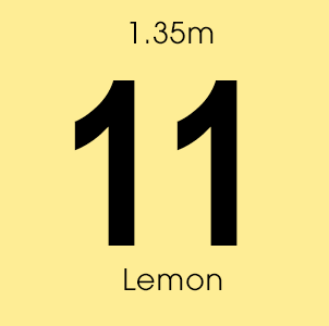 Lemon