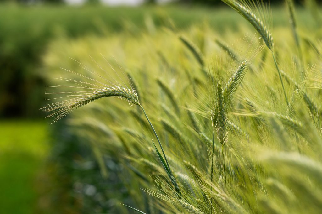 Photo produits agricoles