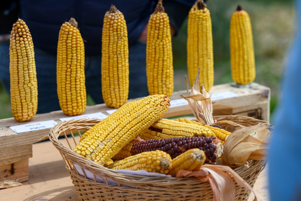Photo produits agricoles