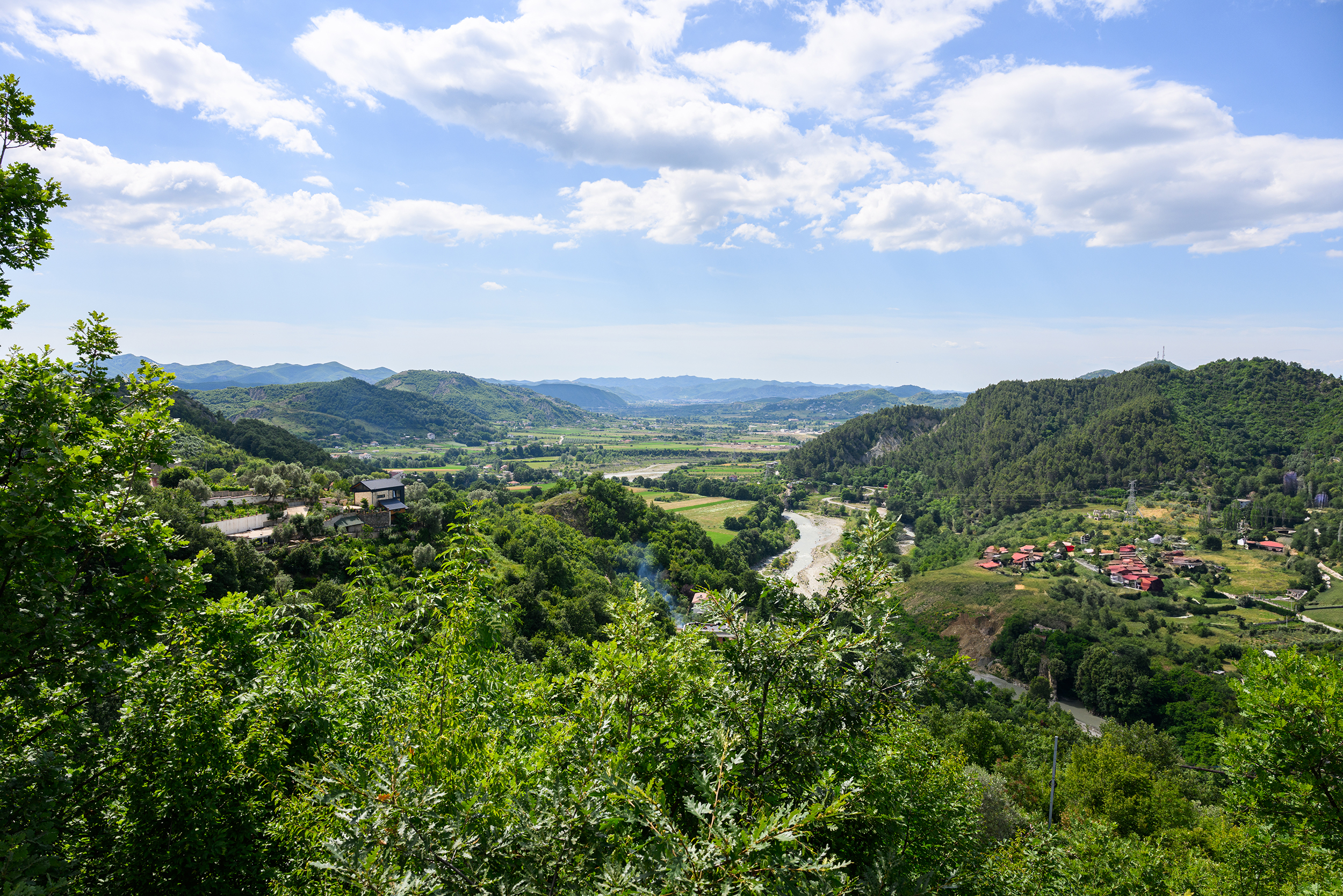 LENSMAN STUDIO Michael MENIANE