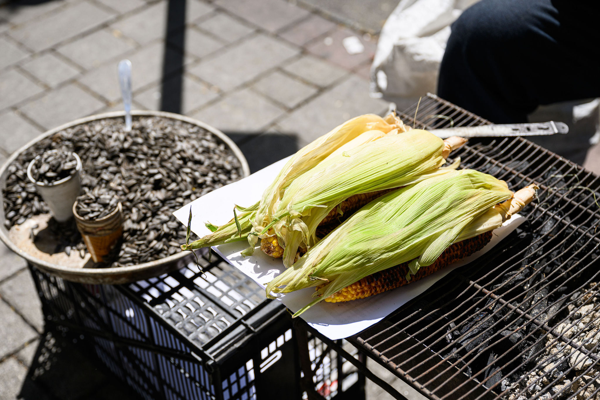 LENSMAN STUDIO Michael MENIANE